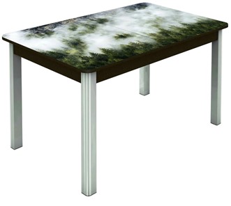 Кухонный стол раздвижной Гамбург исп. 1, ноги метал. крашеные №23 (Exclusive h010/венге) в Нижнем Новгороде