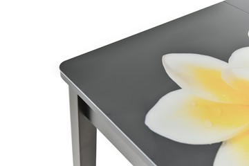 Кухонный стол раздвижной Гамбург Мини, ноги метал. крашеные №23 (Exclusive h157/белый) в Нижнем Новгороде - предосмотр 9