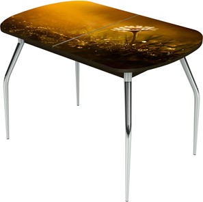 Кухонный стол раздвижной Ривьера исп.1 ноги метал. крашеные №24 Фотопечать (Цветы №43) в Нижнем Новгороде