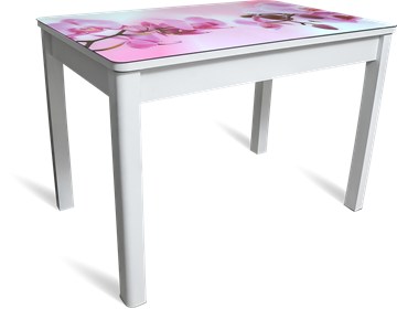 Кухонный стол раздвижной Айсберг мини СТФ, белое лдсп/орхидея/40 прямые массив белые в Нижнем Новгороде - предосмотр
