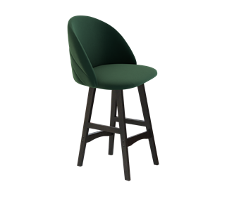 Полубарный стул SHT-ST35-2 / SHT-S65-1 (лиственно-зеленый/венге) в Нижнем Новгороде - предосмотр