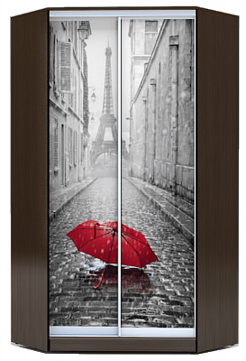 Шкаф 2200х1103х1103, ХИТ У-22-4-77-02, венге аруба, Зонтик в Нижнем Новгороде - изображение