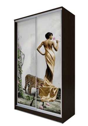 Шкаф 2-х дверный 2400х1200х620, Девушка с леопардом ХИТ 24-12-77-03 Венге Аруба в Нижнем Новгороде - изображение