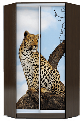 Шкаф 2300х1103, ХИТ У-23-4-77-04, Леопард, венге аруба в Нижнем Новгороде - изображение