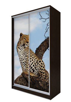 Шкаф 2-х дверный 2200х1500х420, Леопард ХИТ 22-4-15-77-04 Венге Аруба в Нижнем Новгороде - изображение