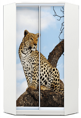 Угловой шкаф 2400х1103, ХИТ У-24-4-77-04, Леопард, белая шагрень в Нижнем Новгороде - изображение