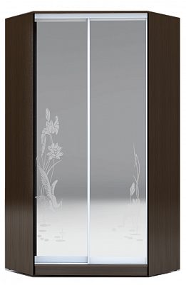 Угловой шкаф-купе 2300х1103, ХИТ У-23-4-66-01, цапля, 2 зеркала, венге аруба в Нижнем Новгороде - изображение