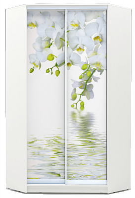 Угловой шкаф 2200х1103, ХИТ У-22-4-77-05, Белая орхидея, белая в Нижнем Новгороде - изображение