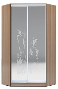 Шкаф 2200х1103, ХИТ У-22-4-66-03, колибри, 2 зеркала, шимо темный в Нижнем Новгороде