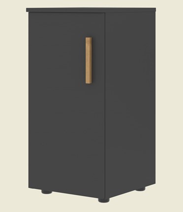 Низкий шкаф колонна с глухой дверью левой FORTA Черный Графит FLC 40.1 (L) (399х404х801) в Нижнем Новгороде - изображение