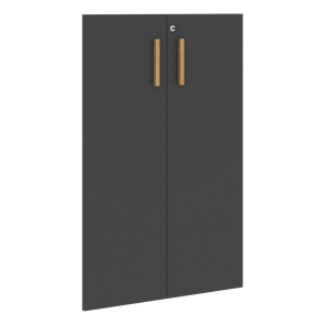 Двери для шкафов средние с замком FORTA Черный Графит FMD 40-2(Z) (794х18х1164) в Нижнем Новгороде